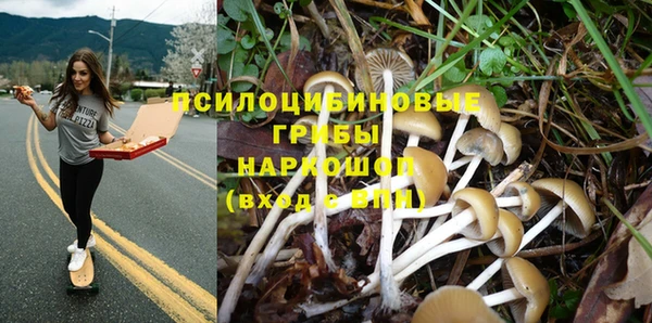 винт Козловка