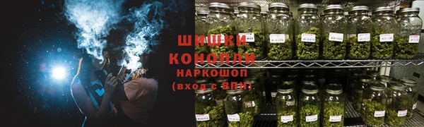 СК Козельск