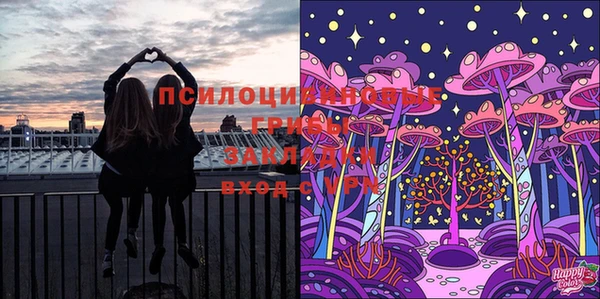 винт Козловка